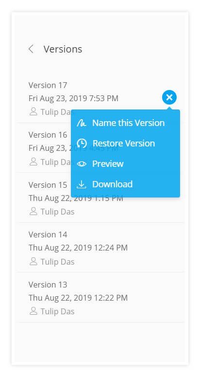 dochipo version control