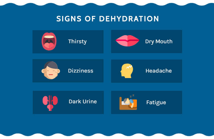 explanatory infographics