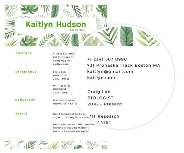 White resume