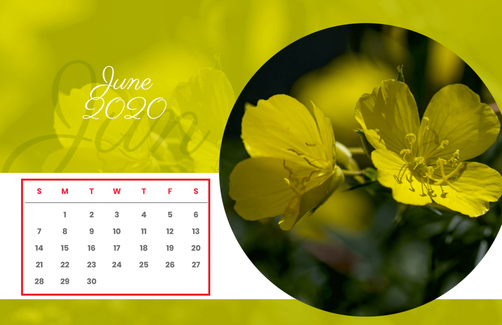 Days and numbers on a calendar