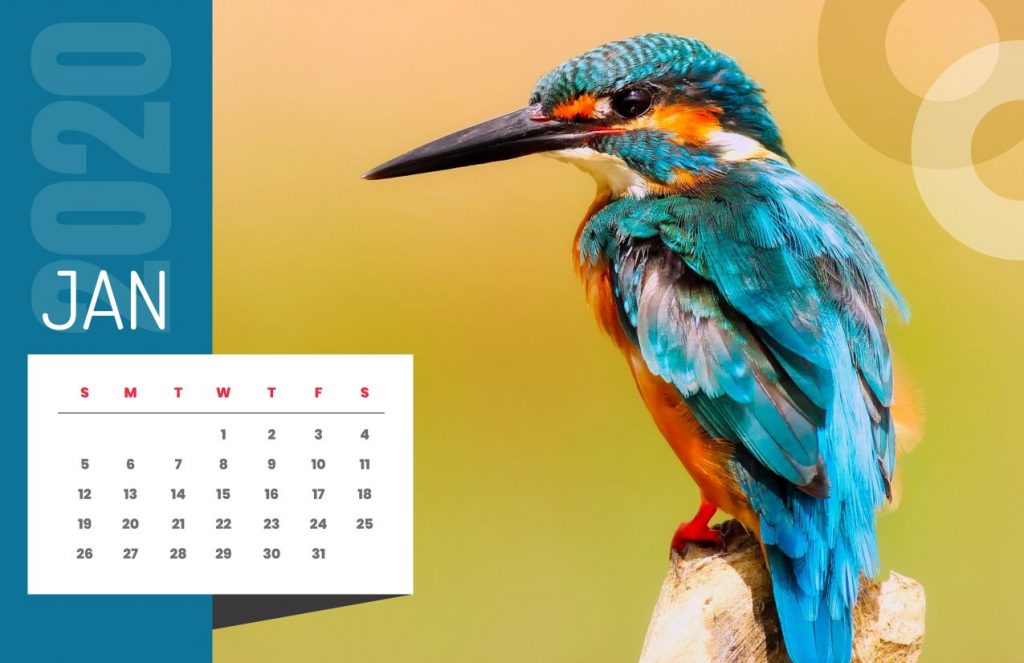 Nature Calendar 2020