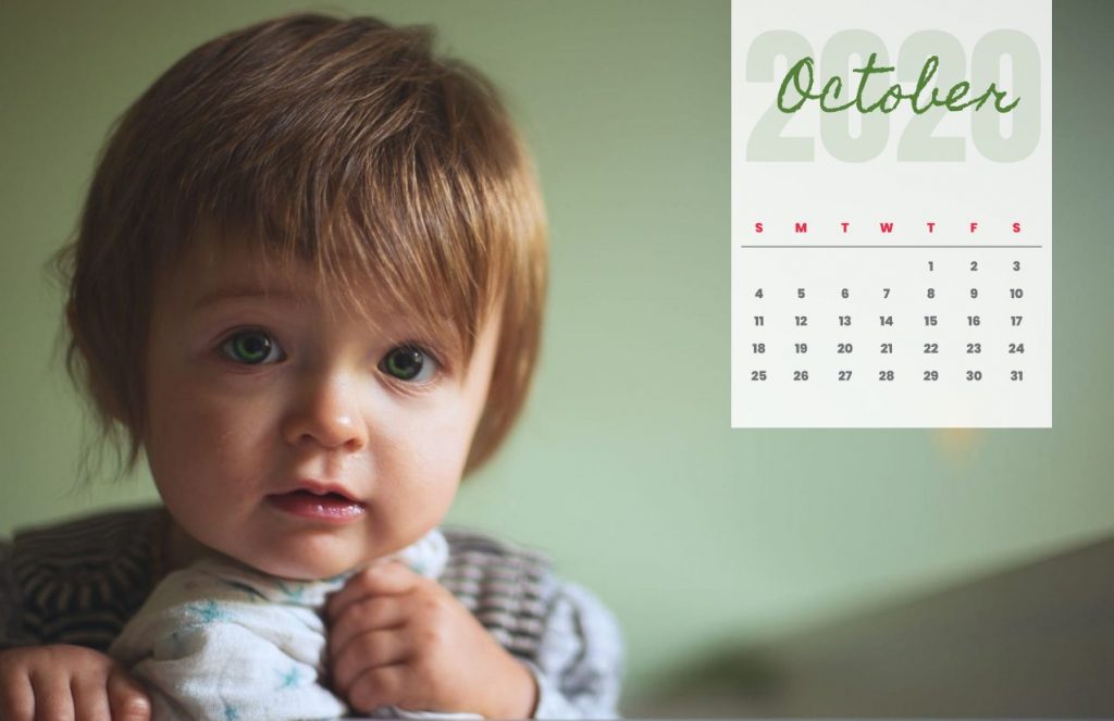 Baby Calendar 2020