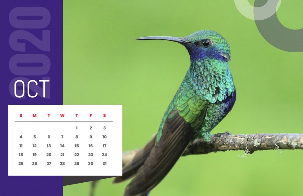 Nature Calendar 2020