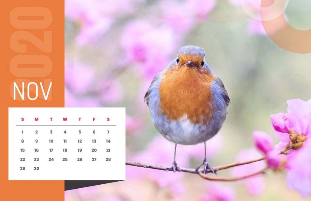 Nature Calendar 2020