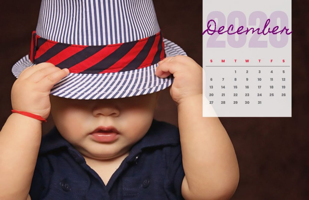 Baby Calendar 2020
