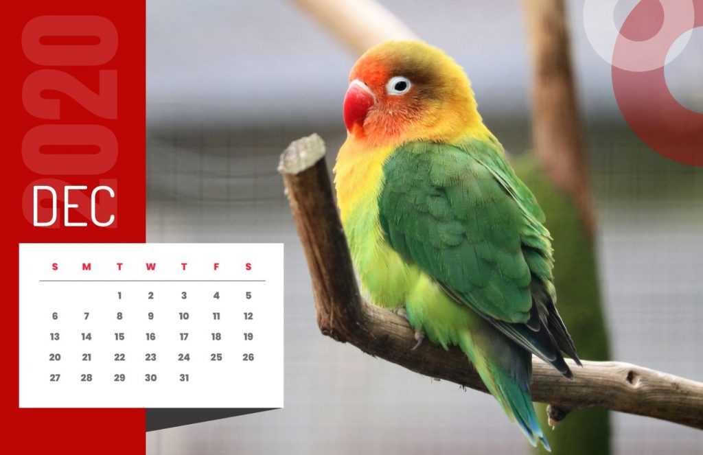 Nature Calendar 2020