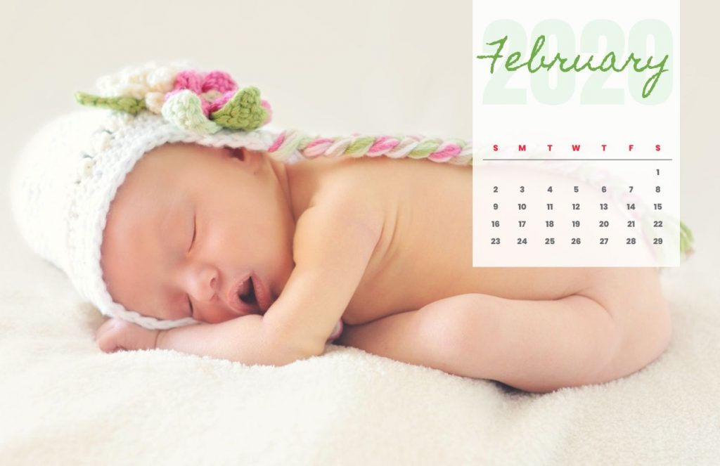 Baby Calendar 2020