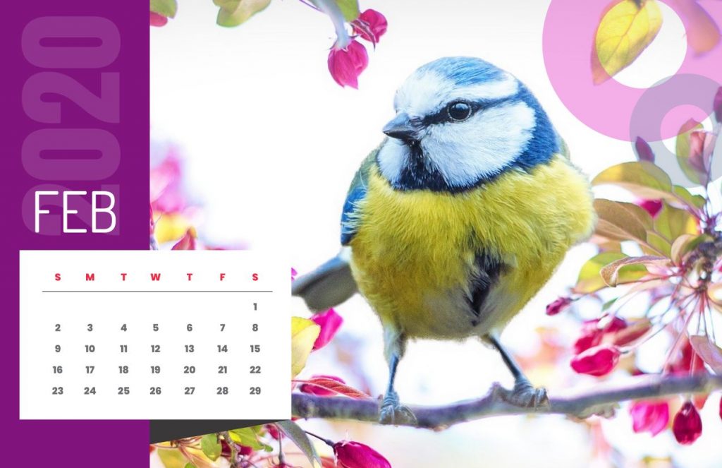 Nature Calendar 2020