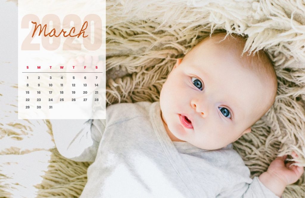 Baby Calendar 2020