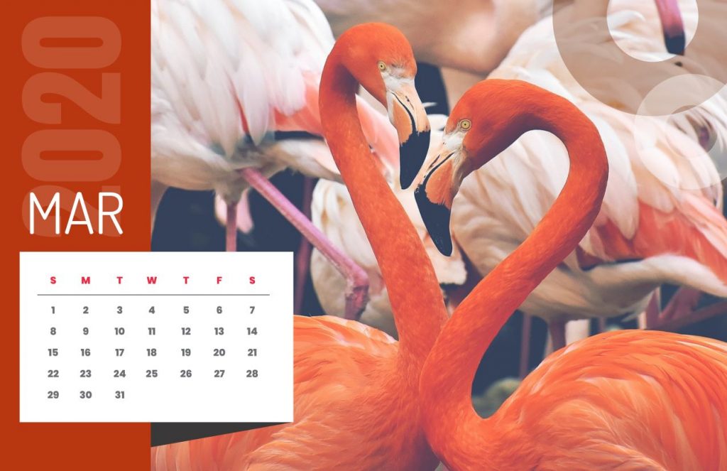 Nature Calendar 2020