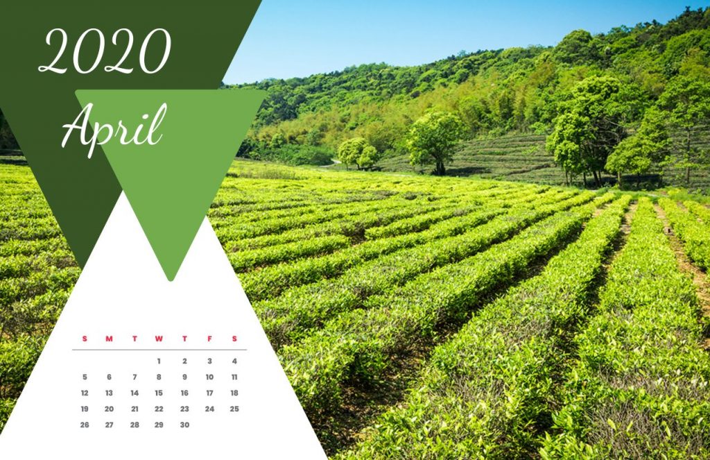 Travel Calendar 2020