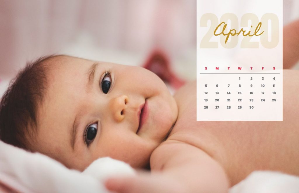 Baby Calendar 2020