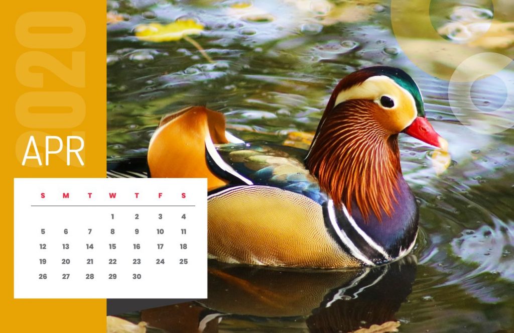 Nature Calendar 2020