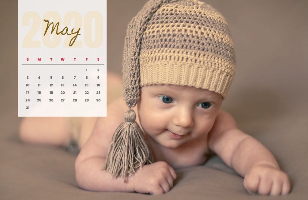 Baby Calendar 2020
