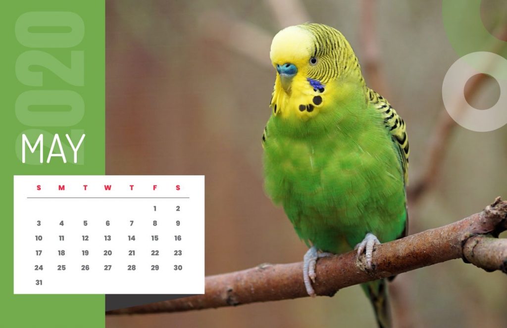 Nature Calendar 2020