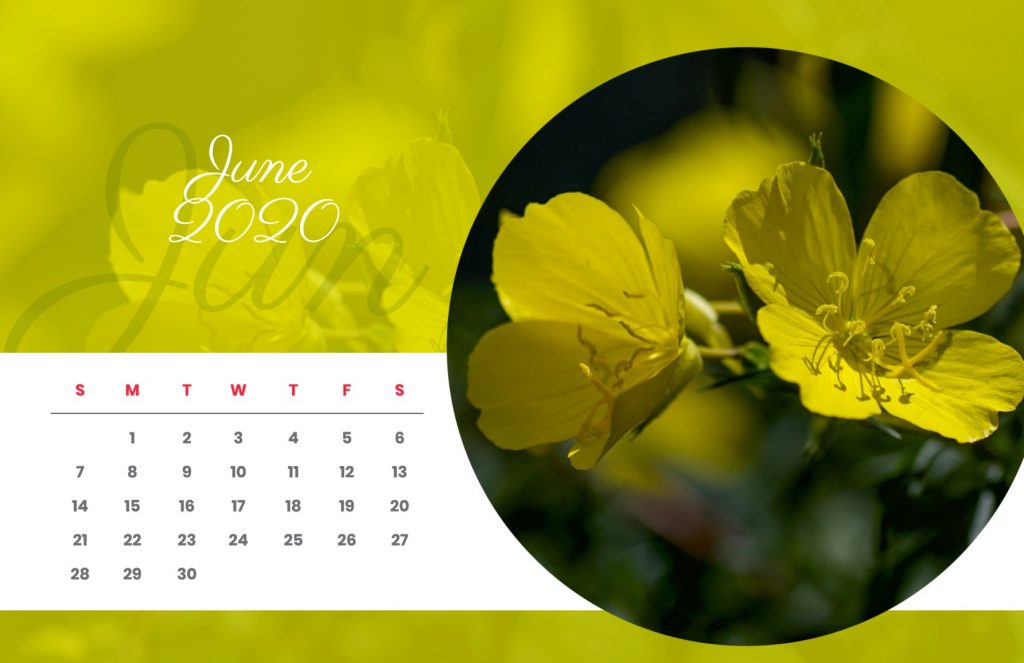 Demo Calendar