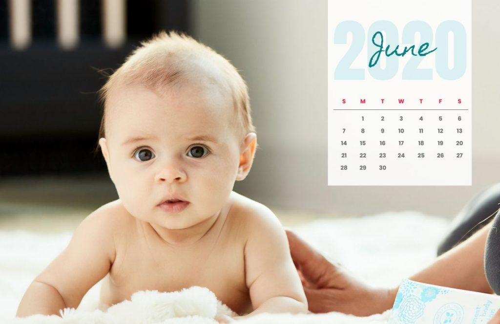 Baby Calendar 2020