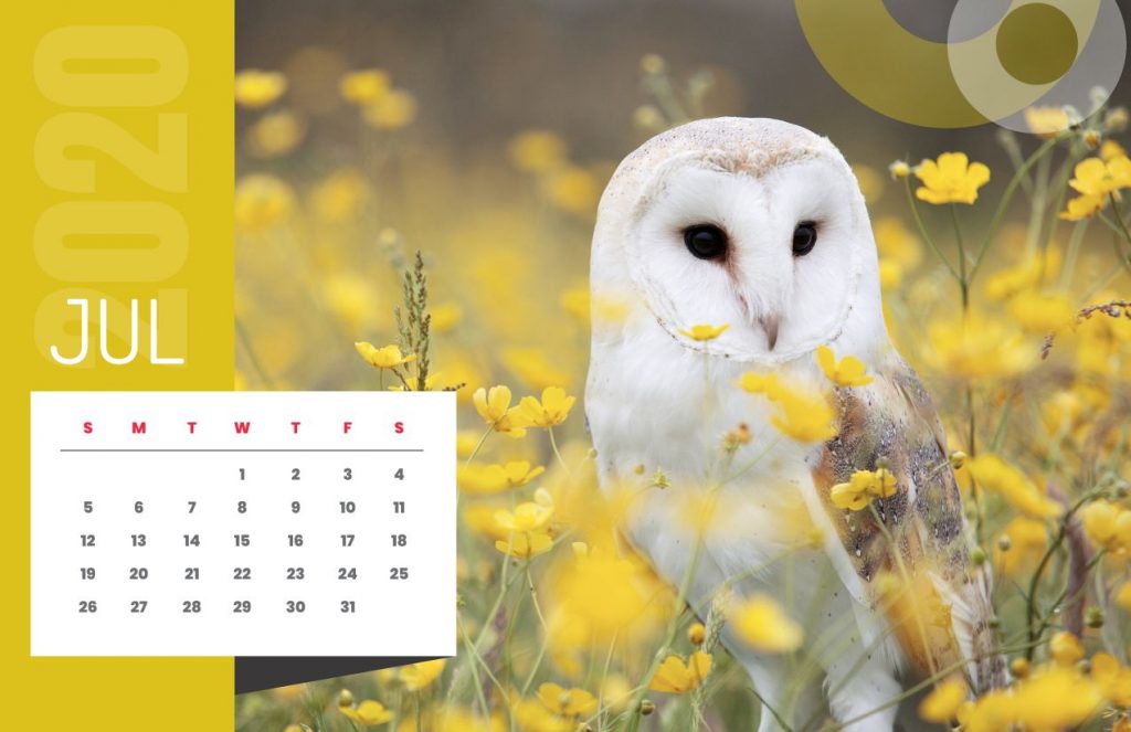 Nature Calendar 2020