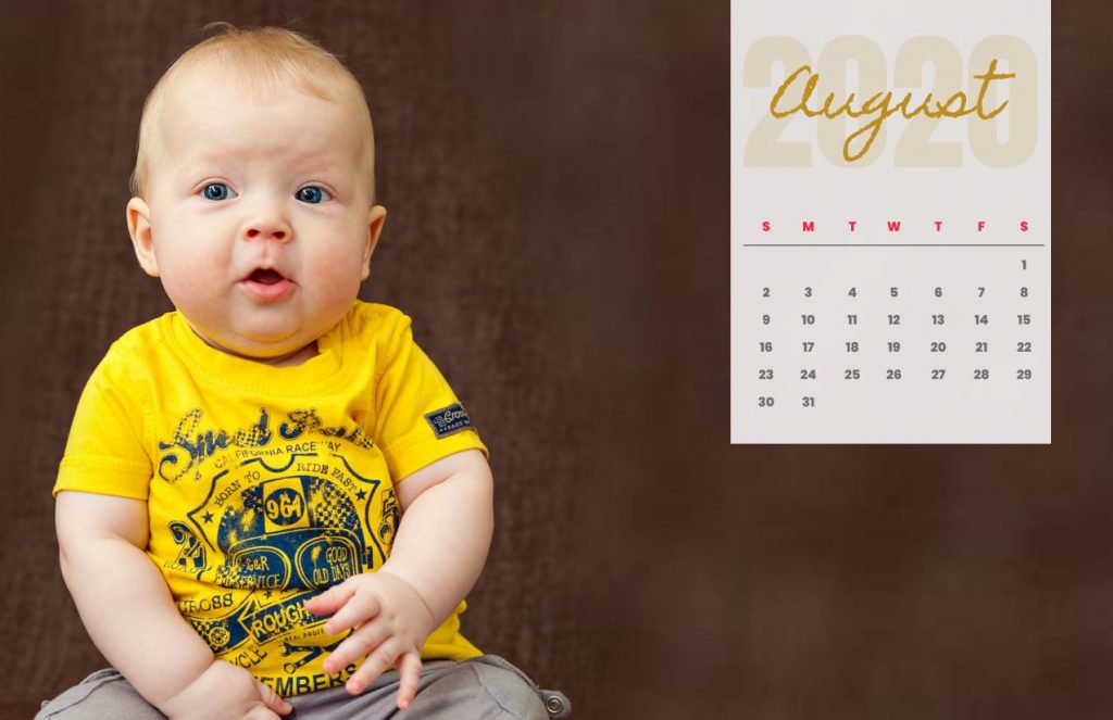Baby Calendar 2020