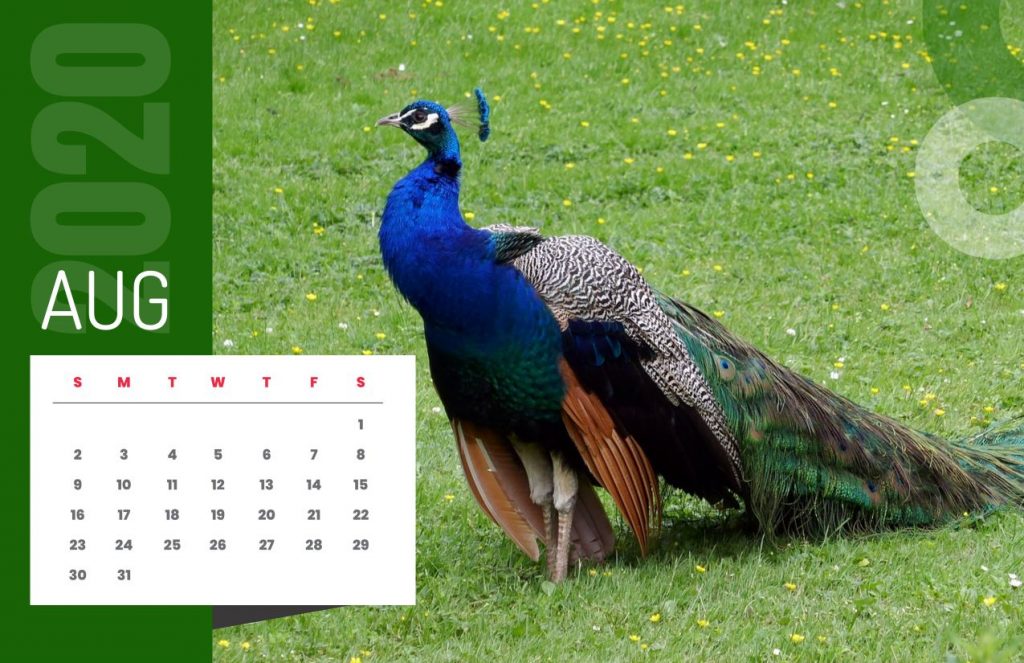 Nature Calendar 2020