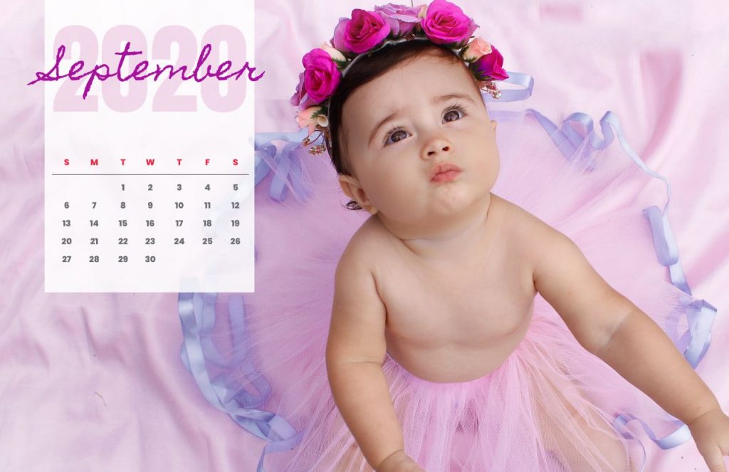 Baby Calendar 2020