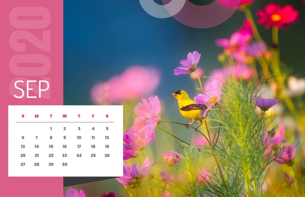 Nature Calendar 2020