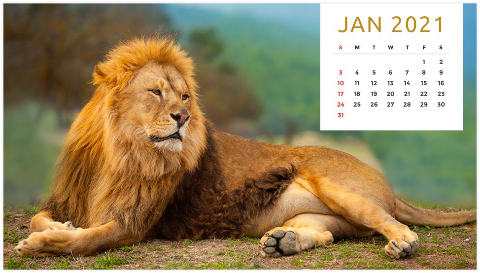 Personalized Calendar: Wildlife