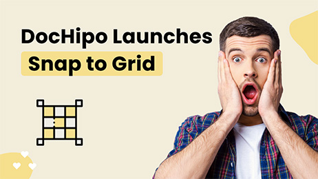 DocHipo-Launches-Snap-to-Grid