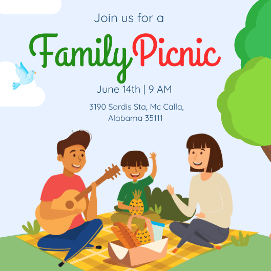 Picnic Invitation Picnic Invitation