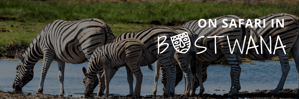 Travel Agency Marketing Twitter Header Travel Agency Marketing Twitter Header