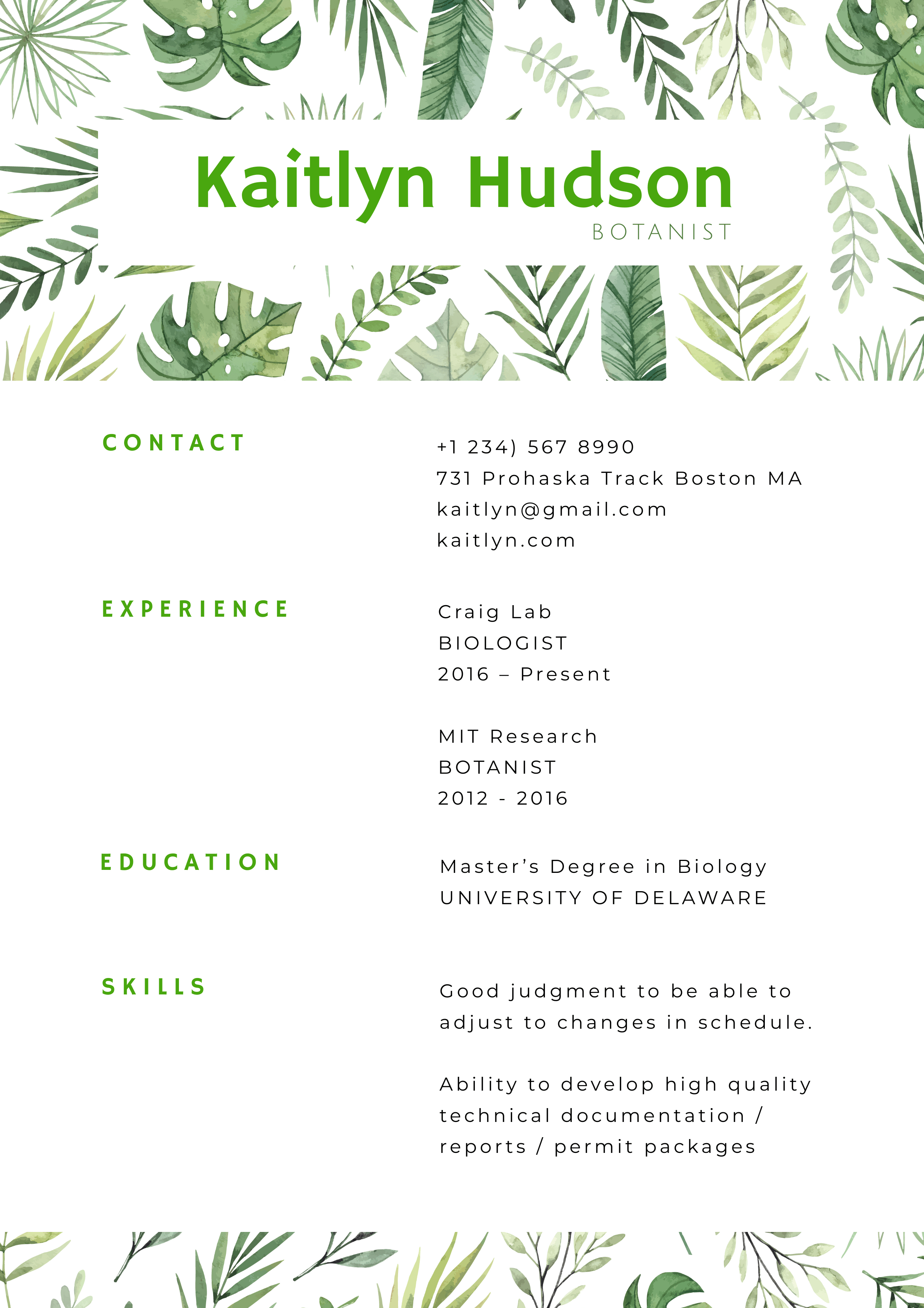 DocHipo's Resume Template