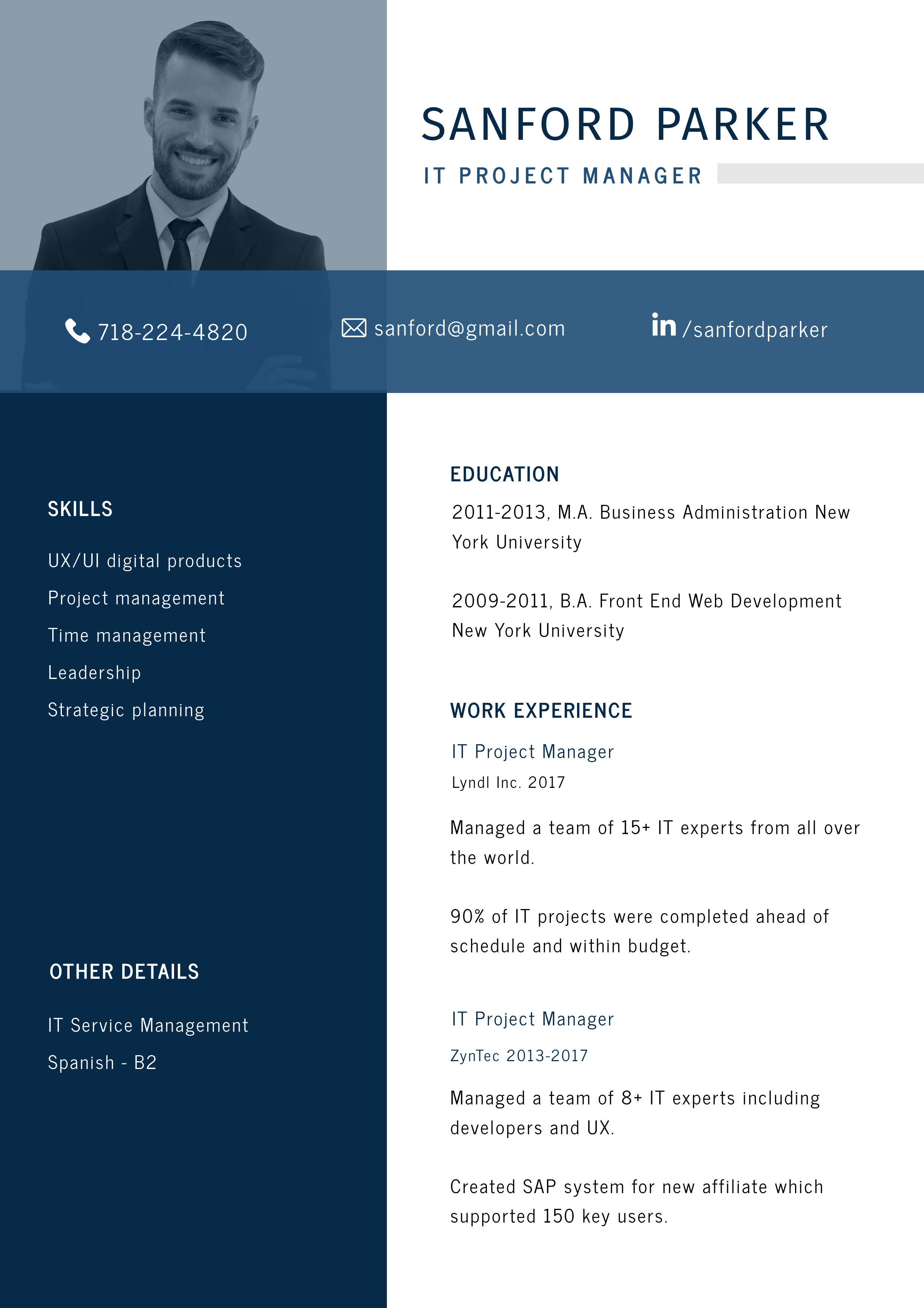 DocHipo's Resume Template