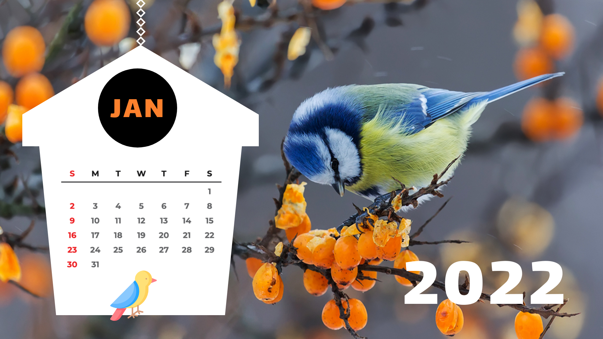 Wildlife Calendar Template