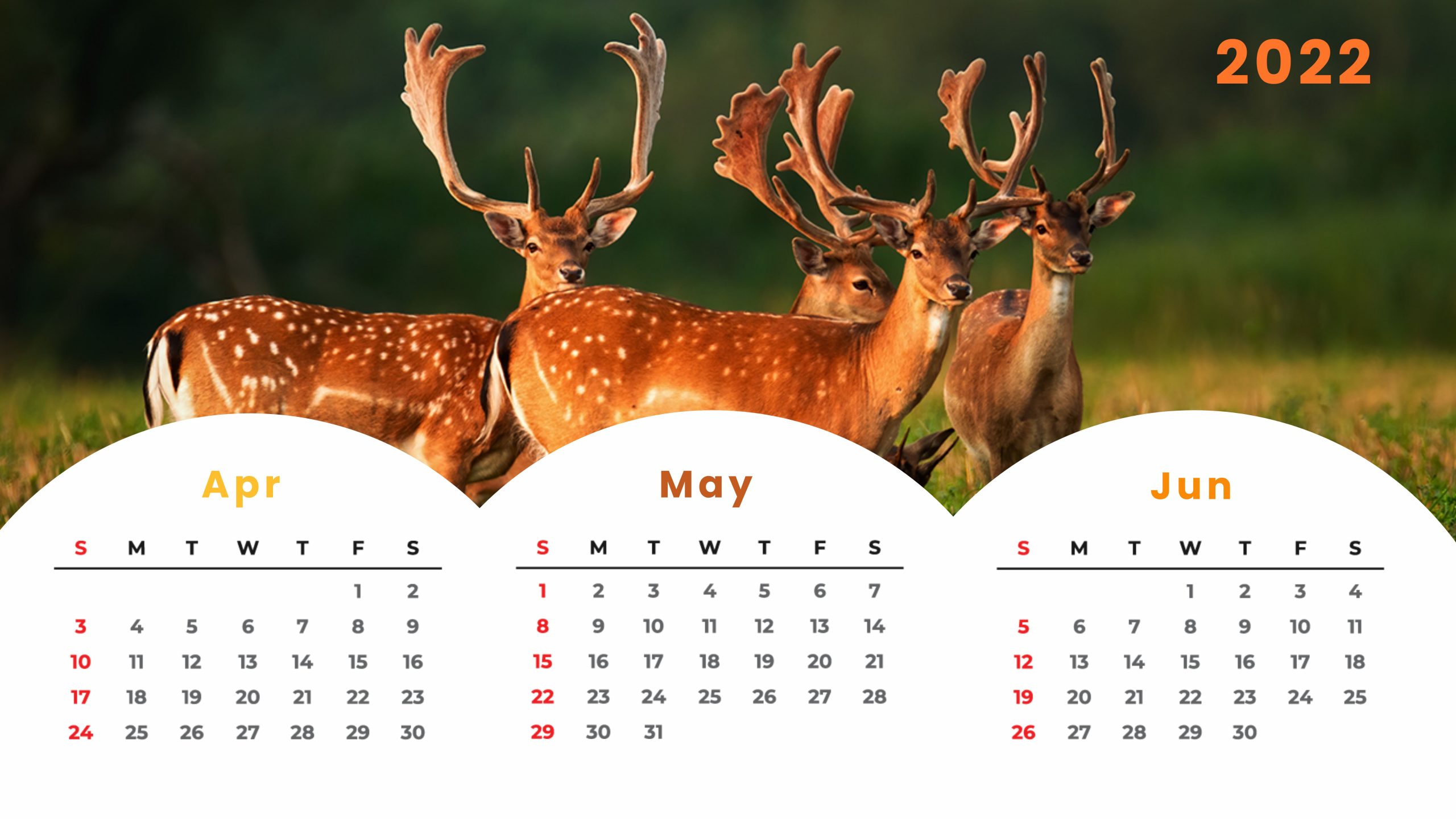 Wildlife Calendar Template