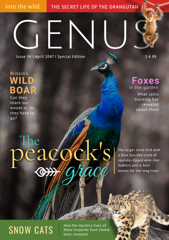 Wildlife Magazine Cover Template