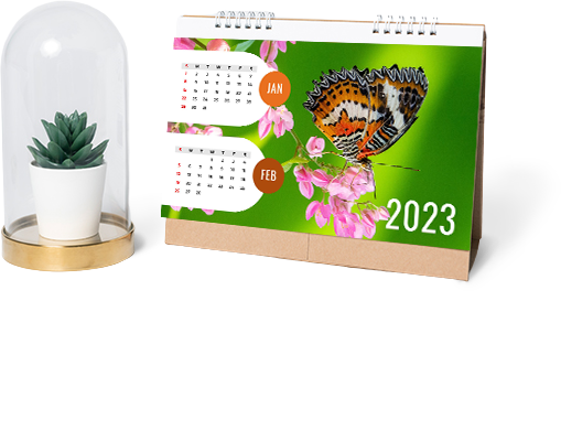 Wildlife-Calendar_template