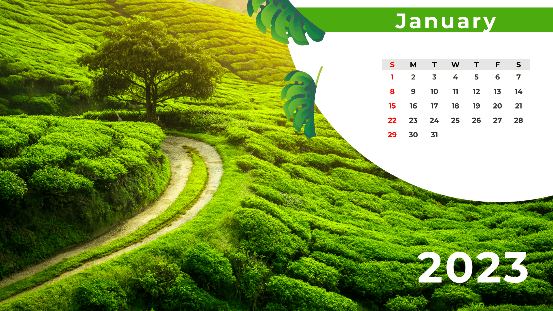 Nature Calendar Template