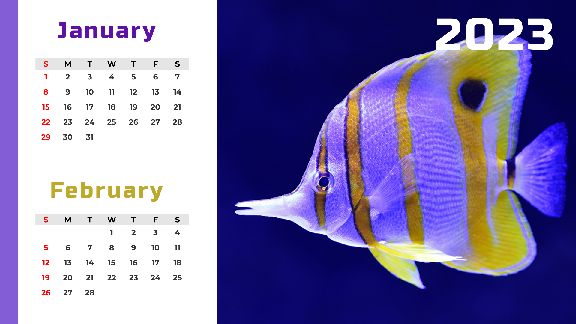 Wildlife Calendar Template