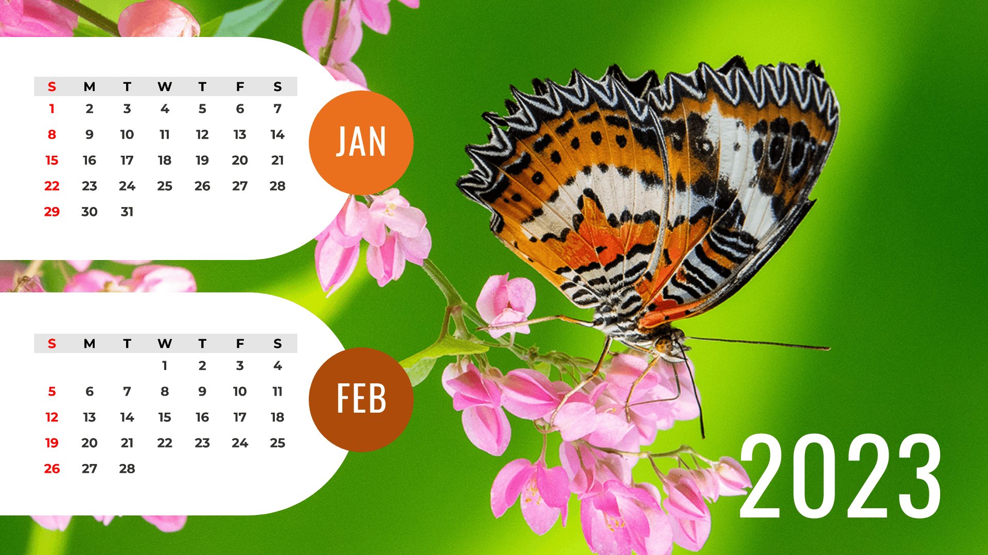 Wildlife Calendar Template