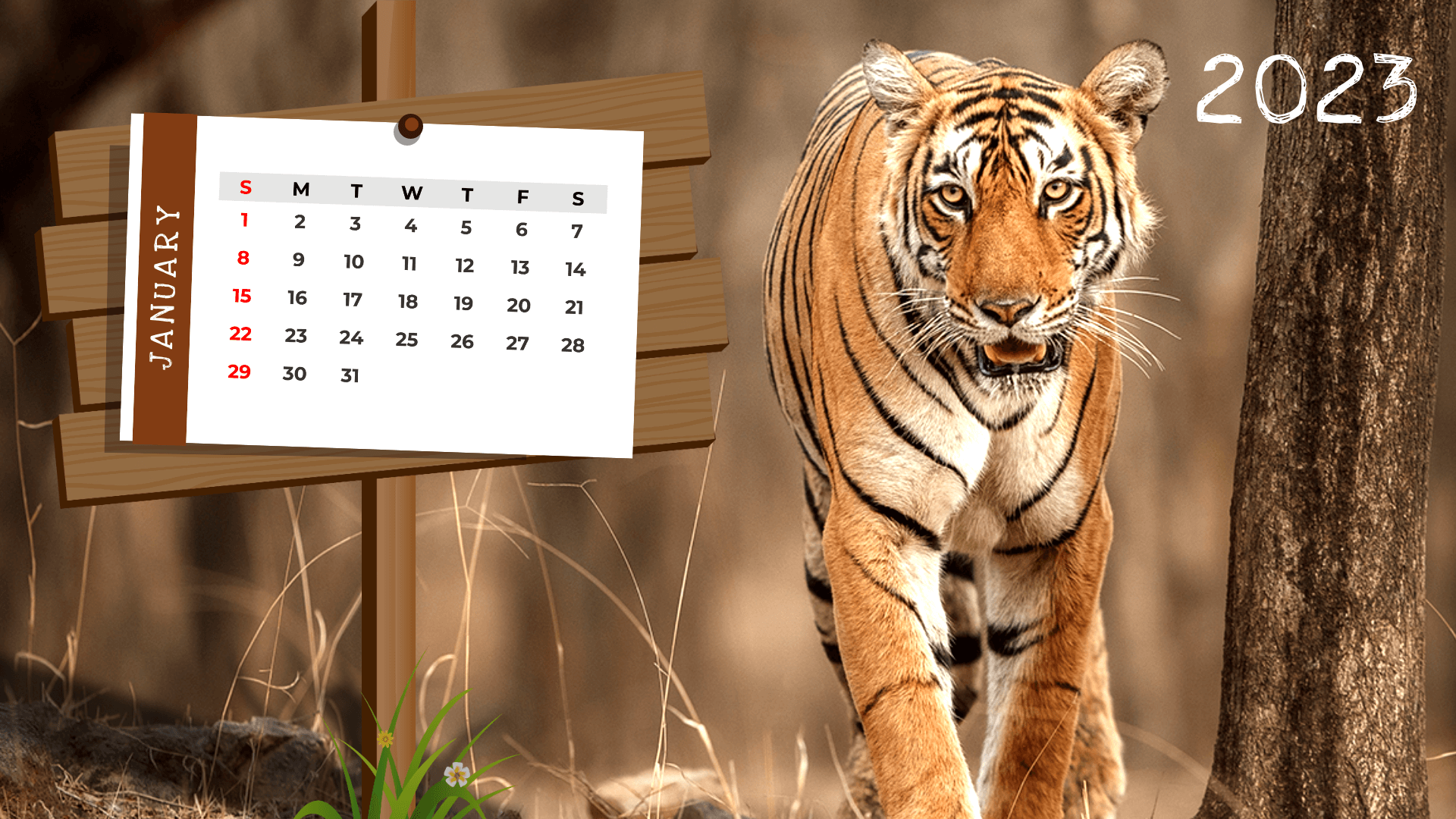 Wildlife Calendar Template