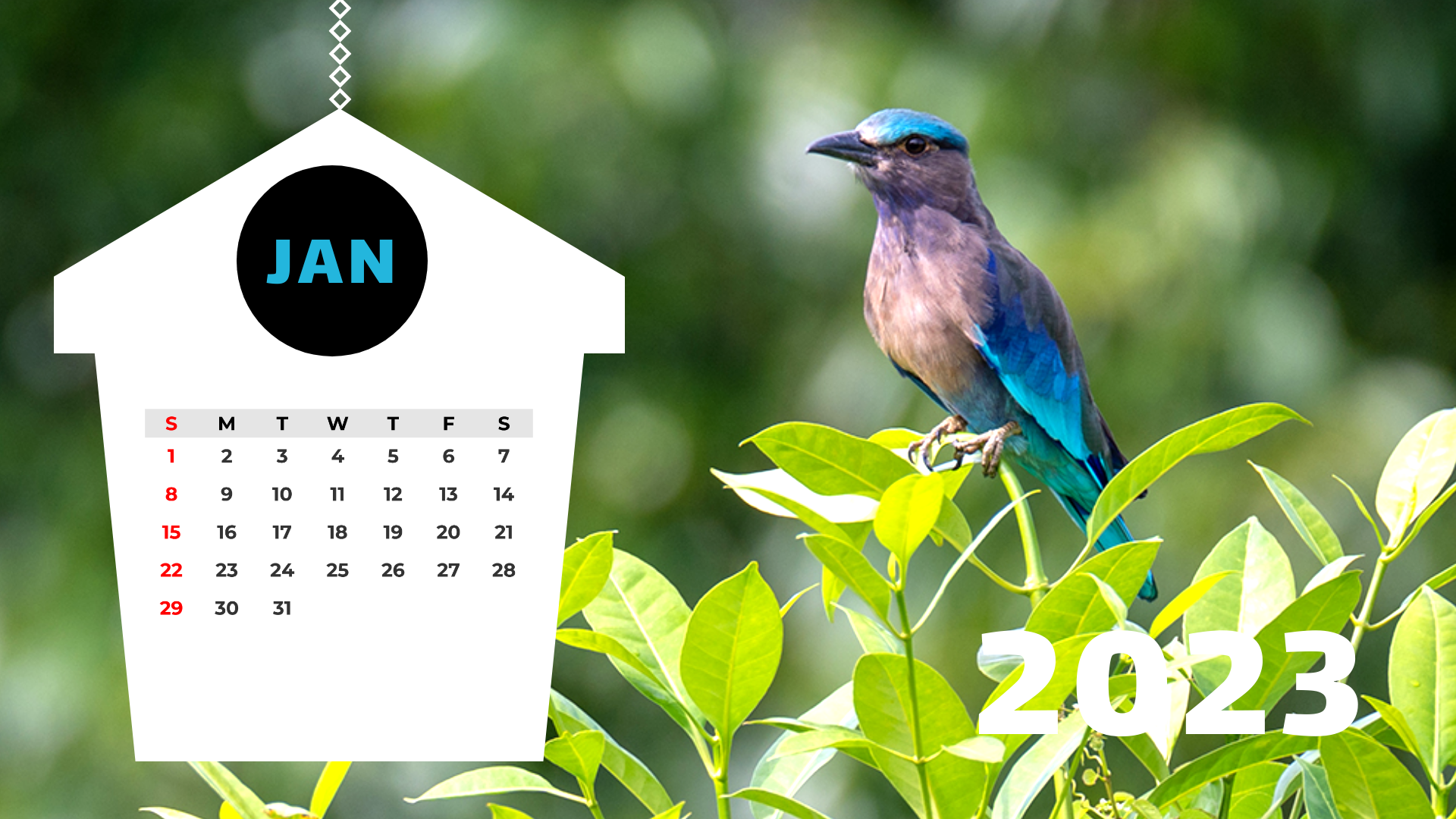 Nature Calendar Template