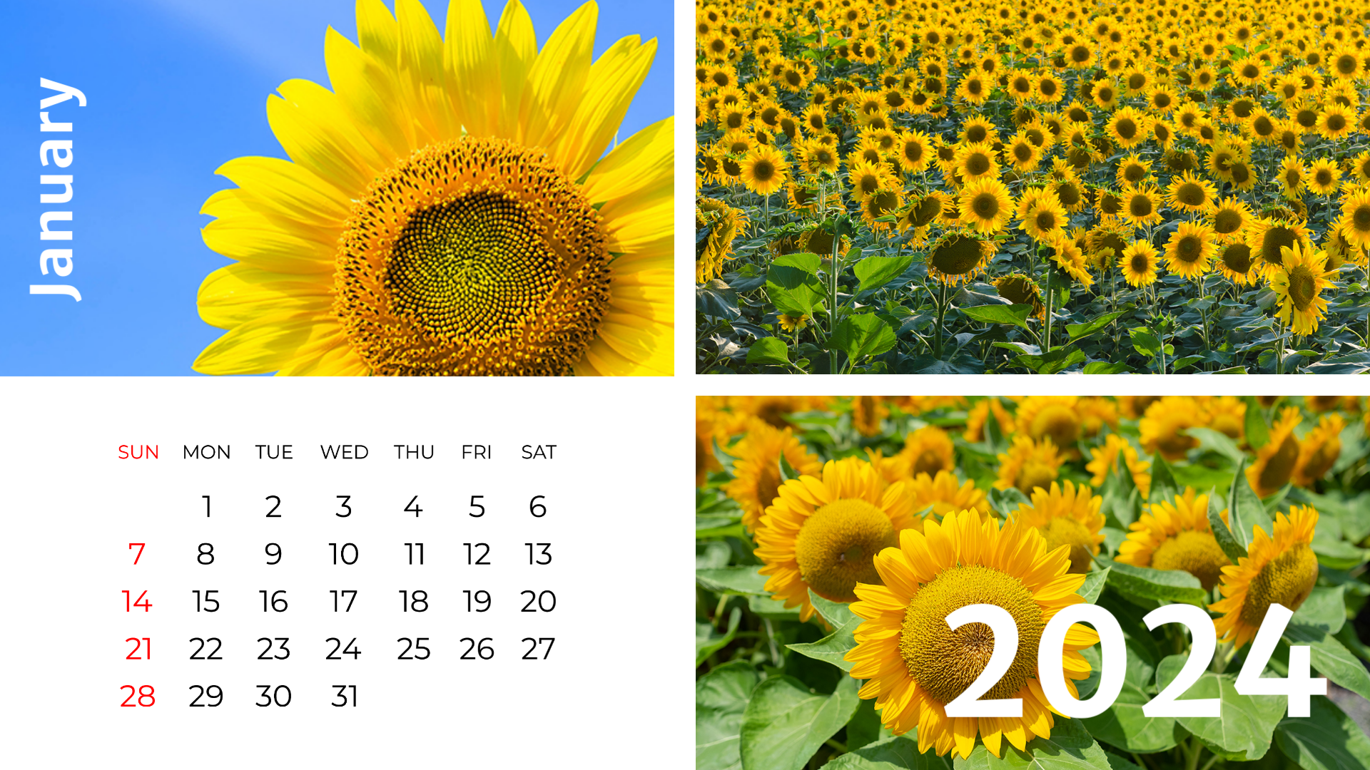 Nature Calendar Template