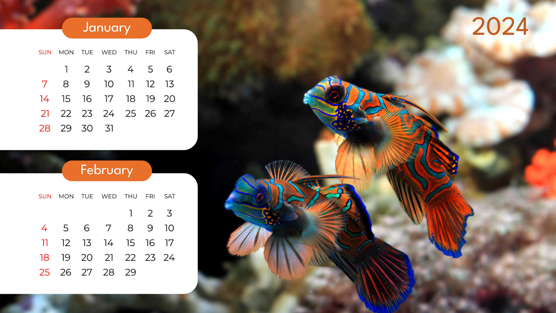 Wildlife Calendar Template with Waterworld Picture