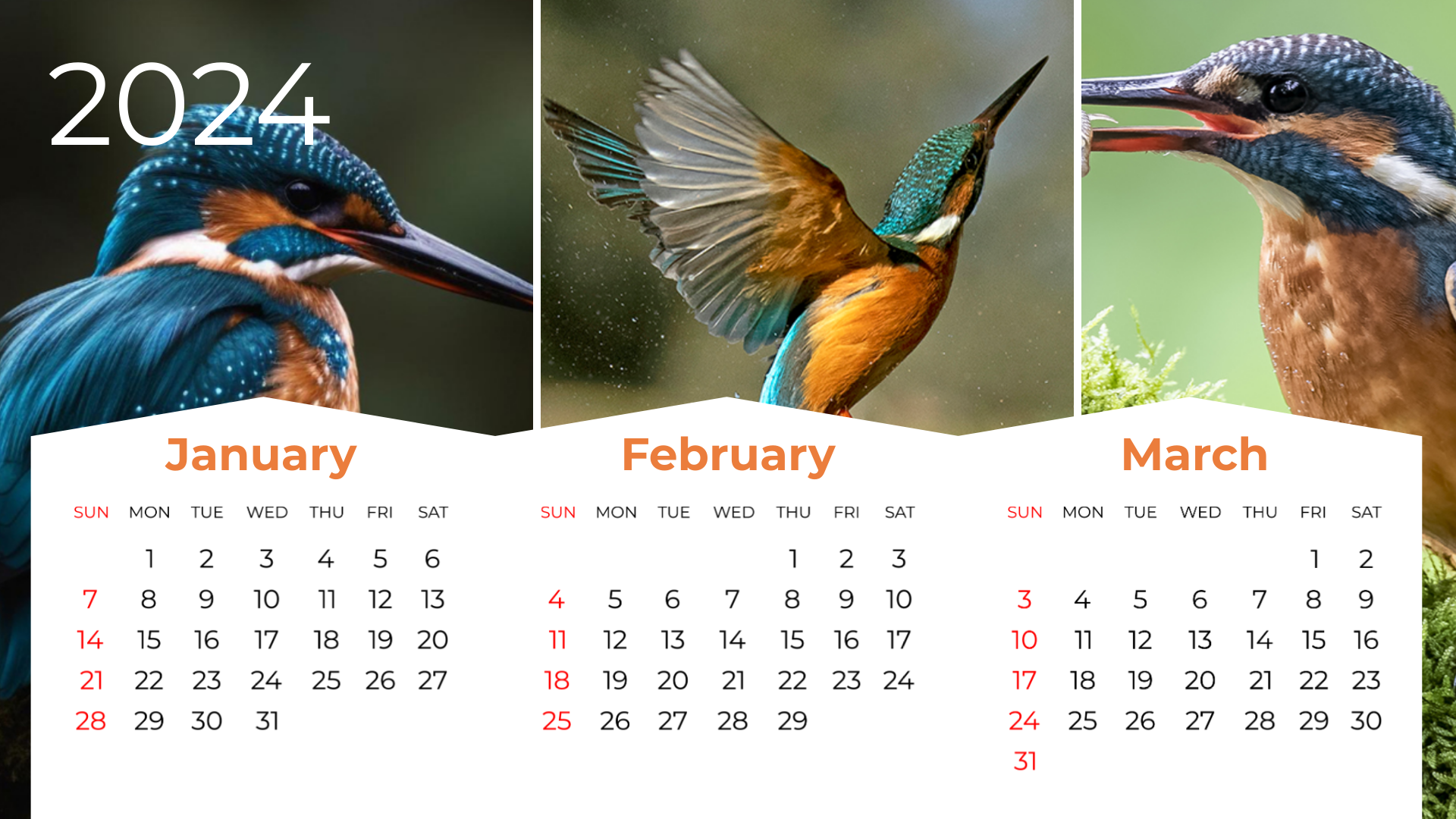 Wildlife Calendar Template