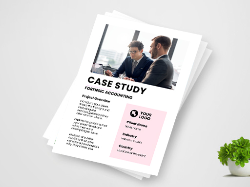 Accounting Case Study Templates