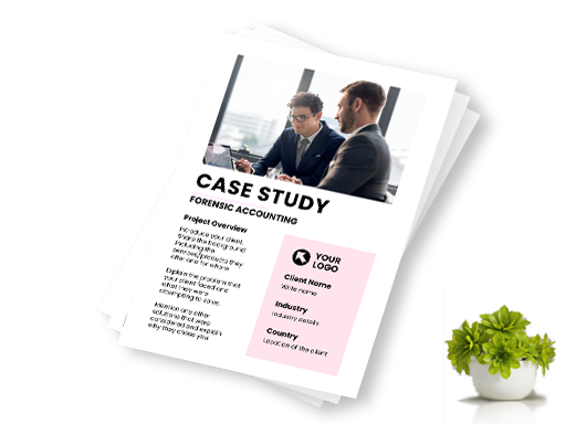 Accounting-case-study-template