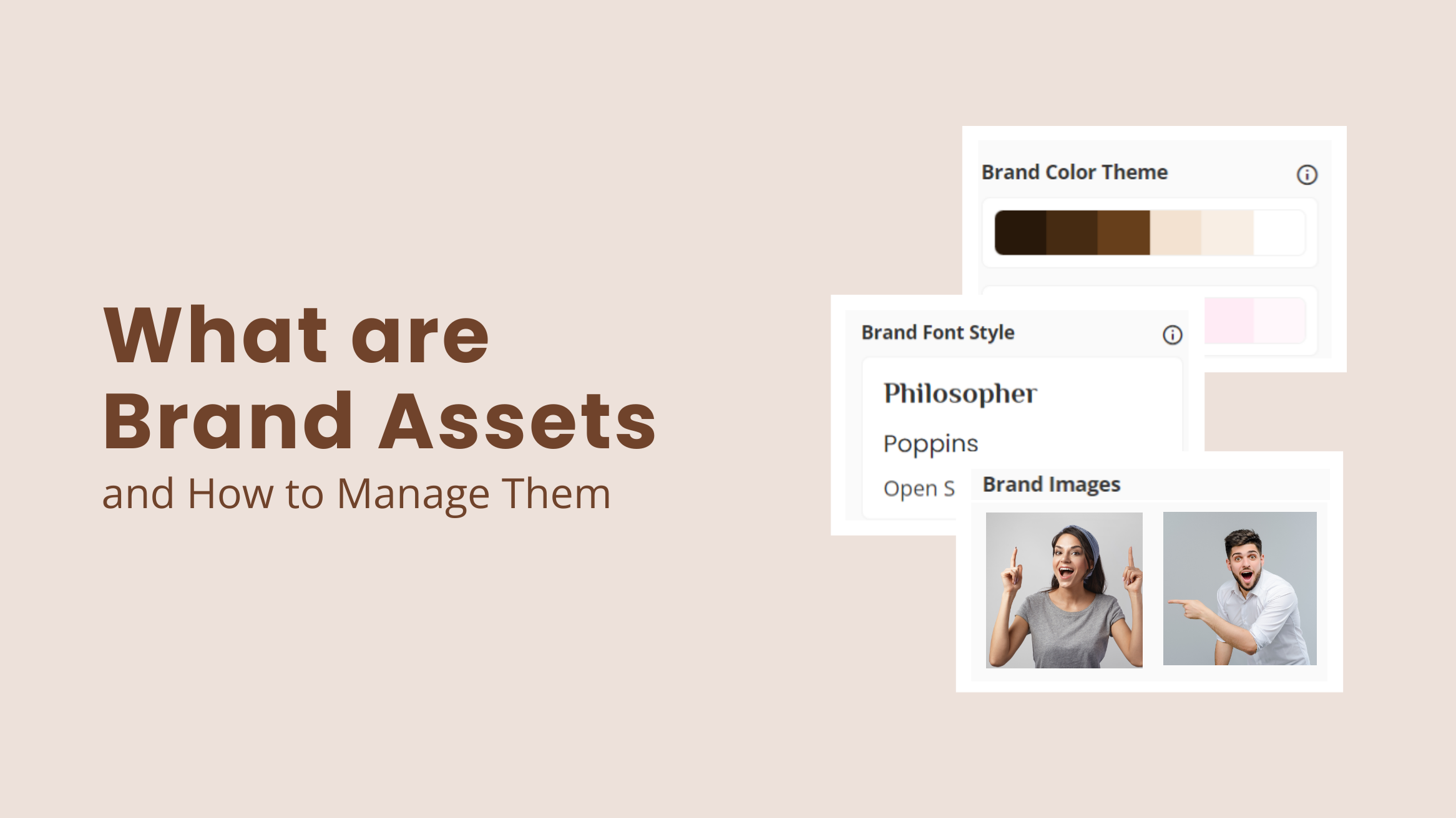 What are Brand Assets - blog banner