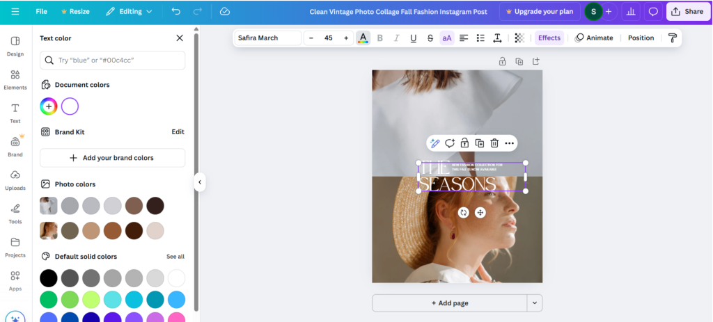 Canva customization Canva customization