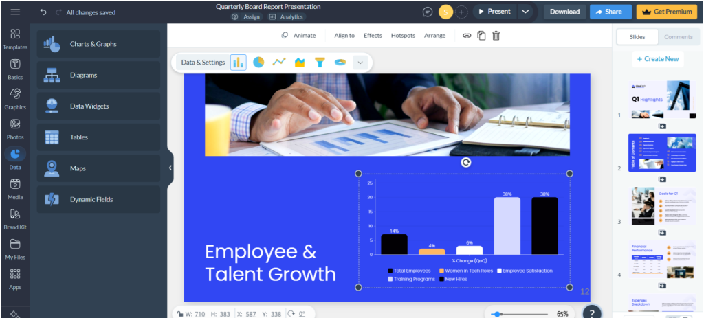 Visme charts
