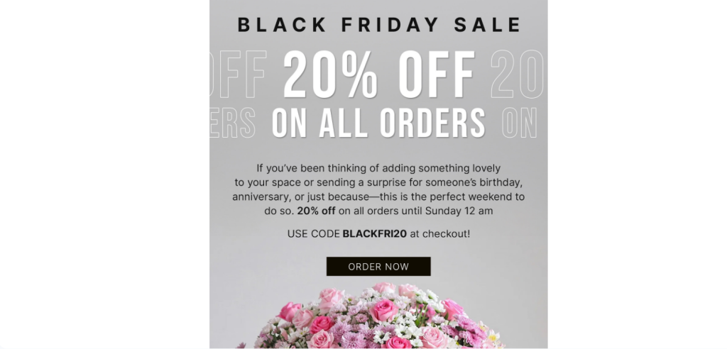 black friday email marketing black friday email marketing
